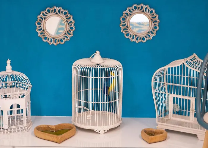 Colosseum Nest By Wall First